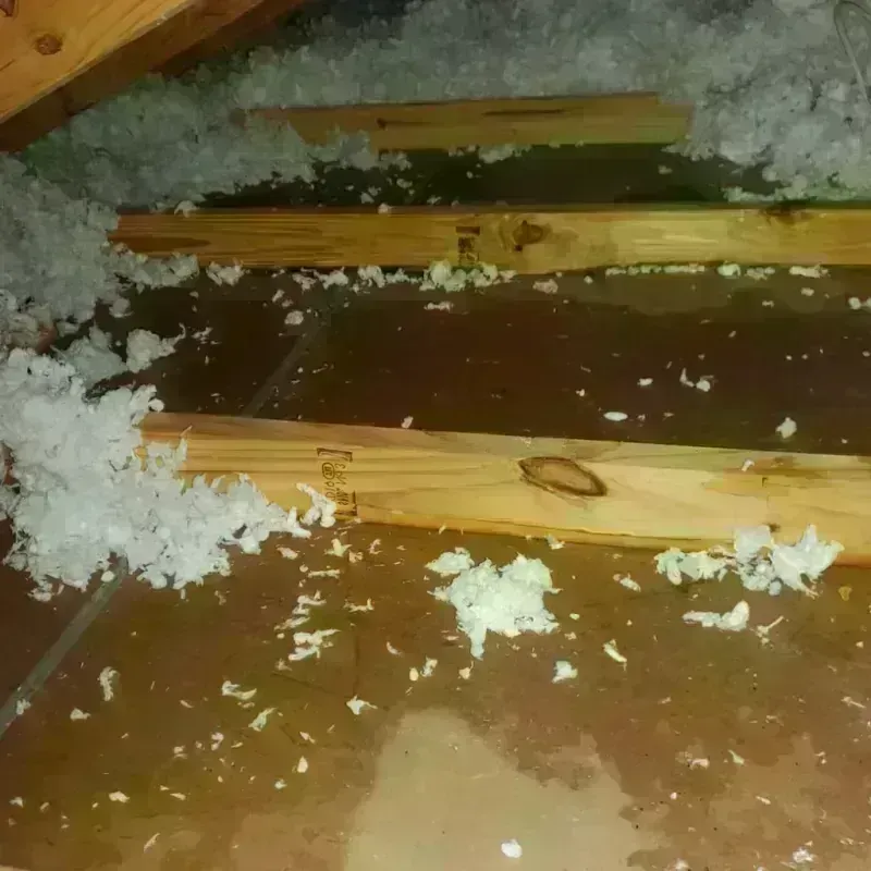 Attic Water Damage in Bondurant, IA